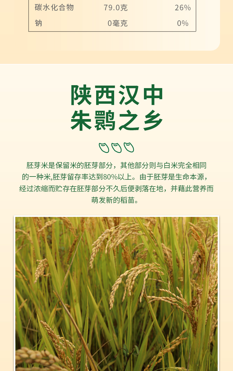 胚芽米_08.jpg