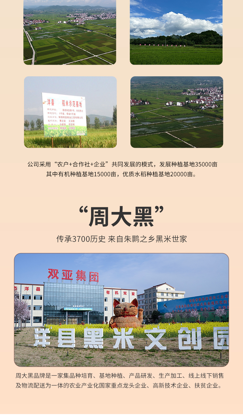 三級黑米_10.jpg