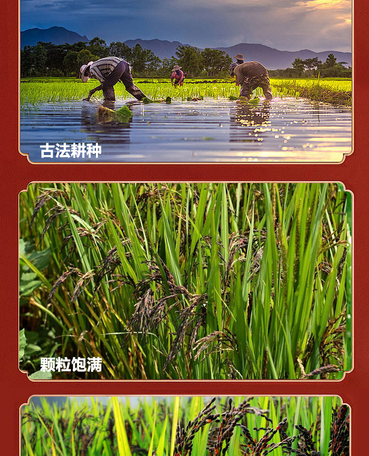 最新詳情_08.jpg